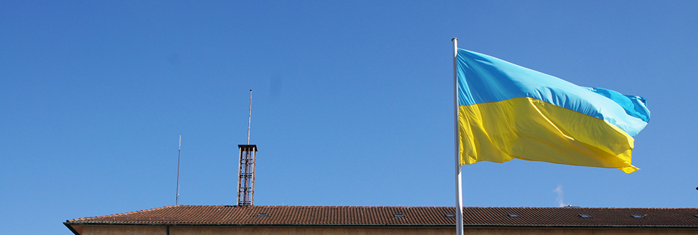 Ukraine-Flagge mit weißer Taube