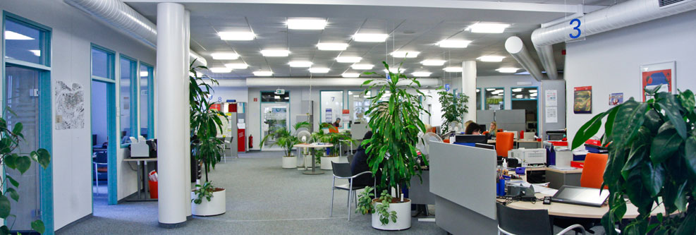 Innenbereich des Neu-Ulmer Bürgerbüros mit Pflanzen und verschiedenen Arbeitsbereichen
