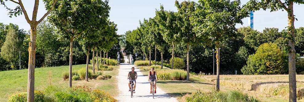 Zwei Fahrradfahrer auf einem von Bäumen umgebenen Radweg im Grünen