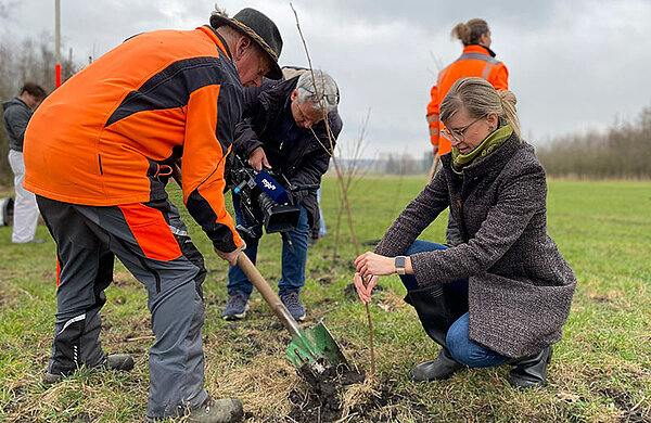 Neu-Ulms Oberbürgermeisterin und ein Waldarbeiter pflanzen gemeinsam einen Baumsetzling in die Erde und werden dabei von einem Kameramann gefilmt.