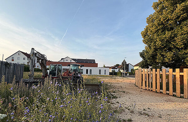 Wiese mit Lindenbaum, daneben zwei Baustellenbagger