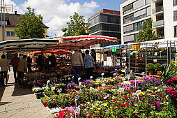 Verkaufsstand mit Pflanzen, im Hintergrund Marktstände