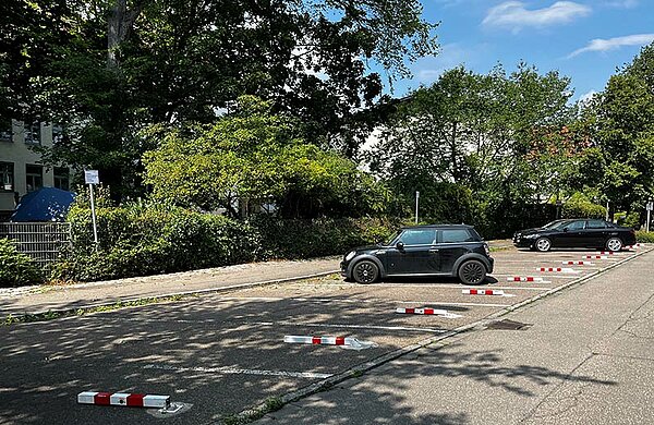 Parkplatz mit zwei parkenden Autos und freien Parkplätzen