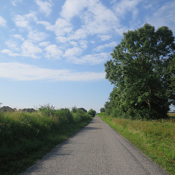 Der Fahrradweg mit neuer staubfreien Oberfläche