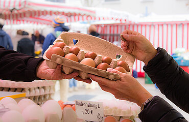 Eine Person kauft eine Schachtel Eier