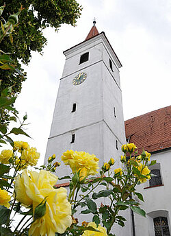 Nikolauskirche in Steinheim
