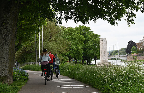 Drei Radler radeln an der Donau entlang.