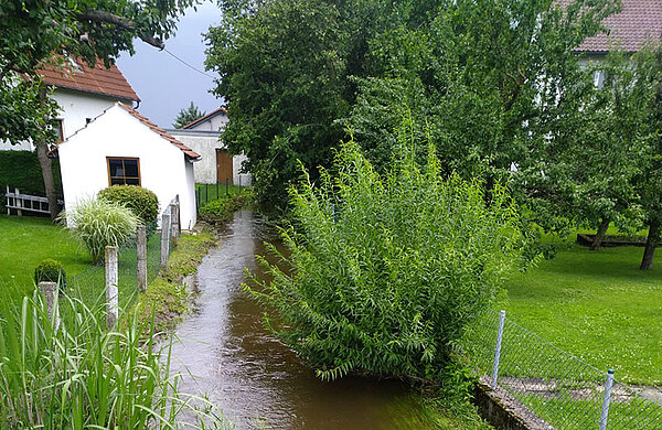 Ein Bach tritt über die Ufer.