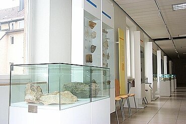 Geologische Sammlung im Rathaus