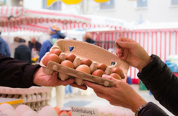 Karton mit Eiern wird am Marktstand übergeben