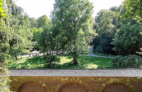 Glacis-Park mit großen schattenspendenden Bäumen