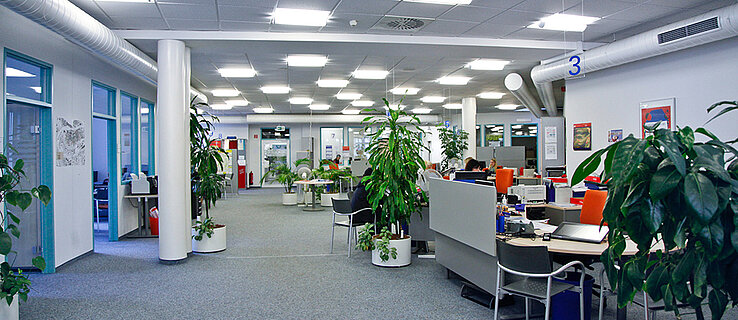 Großraumbüro mit Arbeitsplätzen und Pflanzen