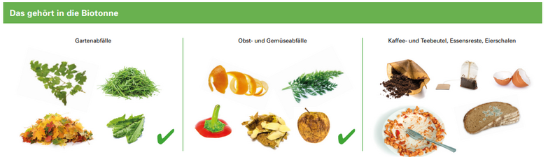 Das gehört in die Biotonne: Gartenabfälle, Obst- und Gemüseabfälle, Kaffee- und Teebeutel, Essensreste, Eierschalen