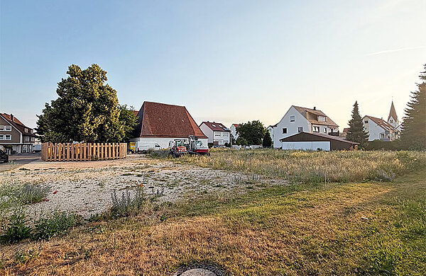Wiese mit Lindenbaum, im Hintergrund zwei Baustellenbagger
