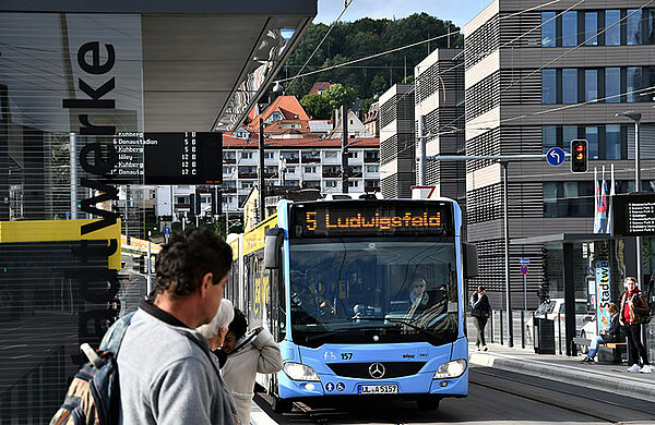 Ein Bus mit der Anzeige "5 Ludwigsfeld" fährt eine Haltestelle an.