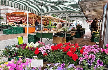 Wochenmarkt-Stände auf dem Johannesplatz