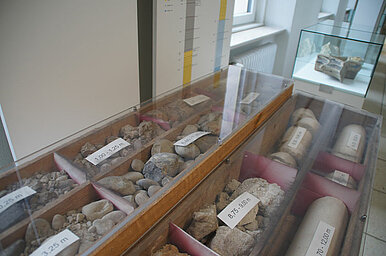 Gesteinsproben und Fossilien in der geologischen Sammlung