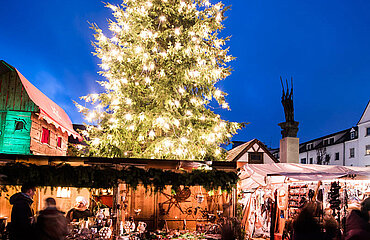 Beleuchteter Weihnachtsbaum und Marktbuden auf dem Neu-Ulmer Rathausplatz