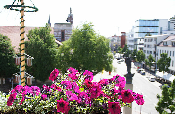 Blick auf den Neu-Ulmer Rathausplatz mit Maibaum, im Vordergrund ein Blumenkasten mit Frühlingsblumen