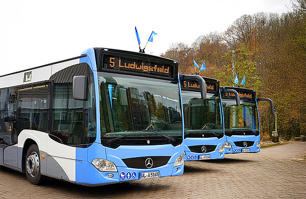 Drei Stadtbusse mit der Anzeige "5 - Ludwigsfeld"