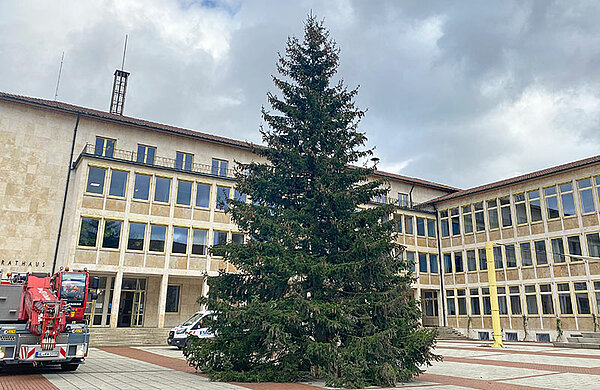 Weihnachtsbaum auf dem Neu-Ulmer Rathausplatz