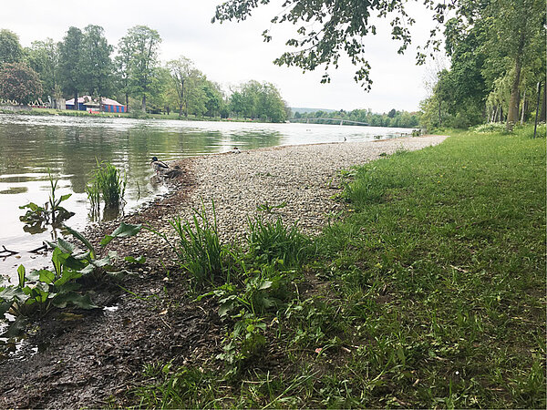 Die neue Kiesfläche am Neu-Ulmer Donauufer