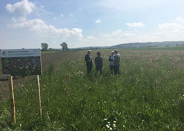 Personen auf einer blühenden Wiese, im Vordergrund ein Schild mit der Aufschrift "Blühwiese für Insekten"