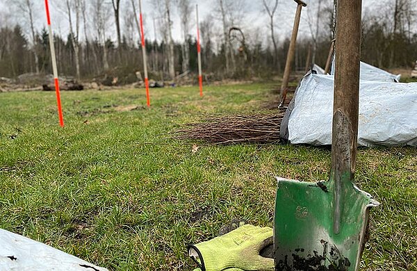 Schaufel, Handschuhe und Baumstecklinge