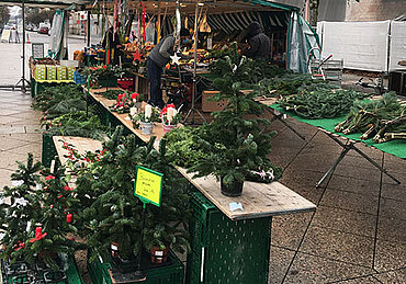 Marktstand mit Tannenzweigen und kleinen Tannenbäumchen