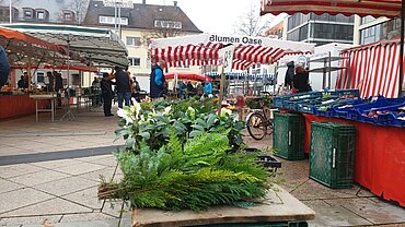 Marktstand mit Zweigen und Pflanzen