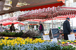 Besucher des Wochenmarktes an den Verkaufsständen, im Vordergrund ein Marktstand mit Frühlingsblumen