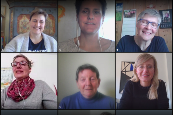 Screenshot vom virtuellen Treffen