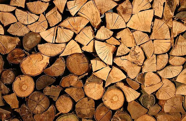 Holzscheite