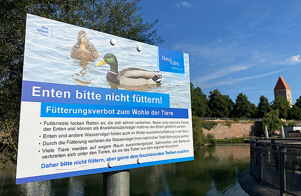 Hinweisschild „Enten bitte nicht füttern!“ am Neu-Ulmer Donauufer