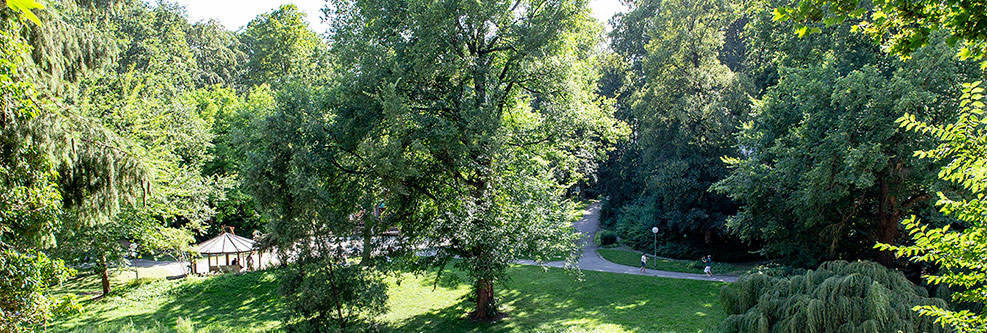 Glacis-Park mit großen schattenspendenden Bäumen