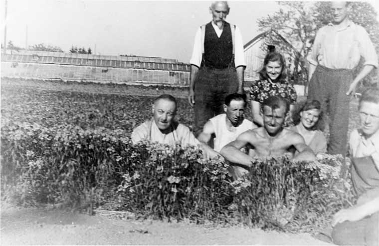 Sechs Männer und zwei Frauen sitzend und stehend auf einem Feld, im Hintergrund Gewächshäuser
