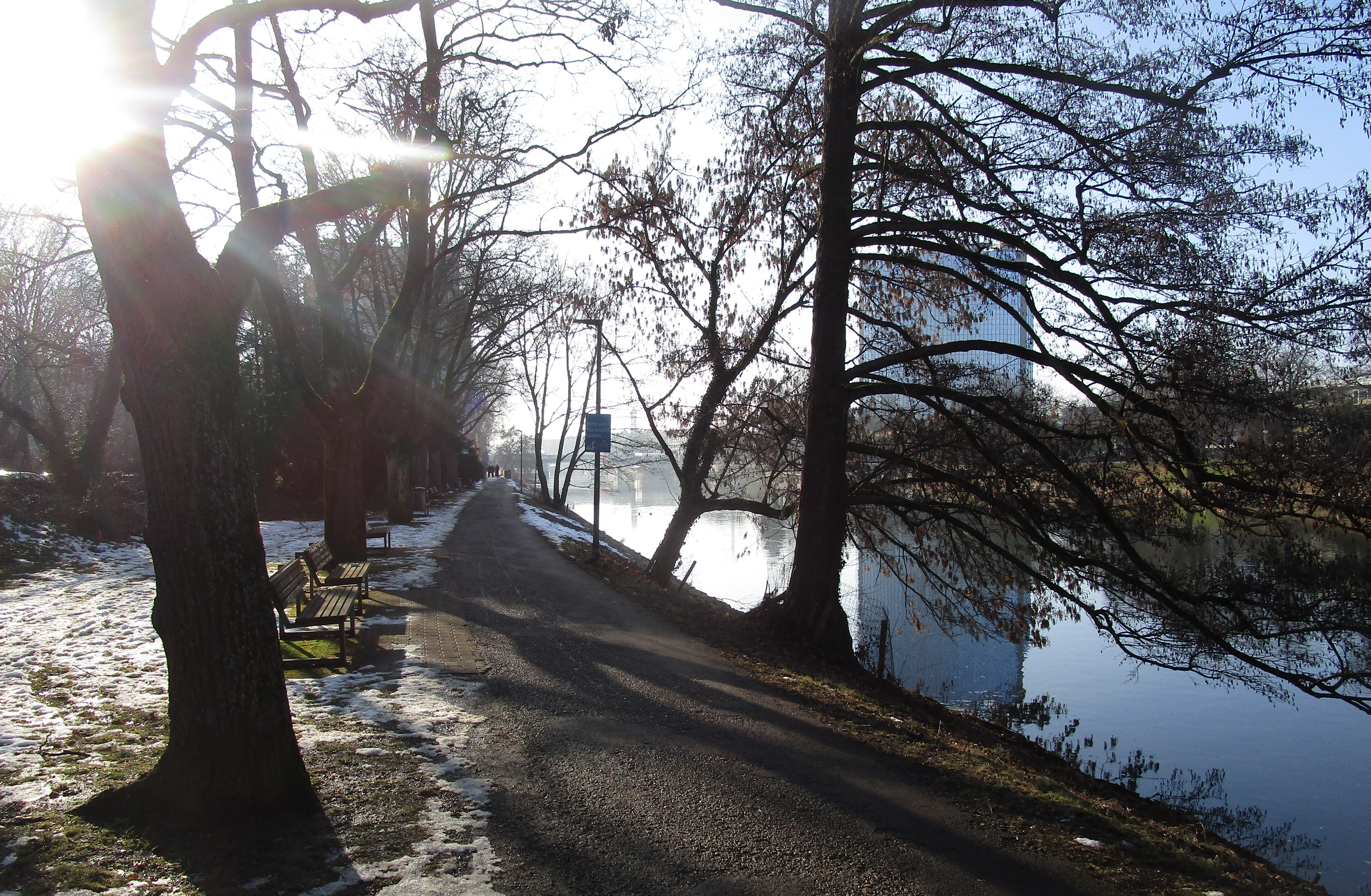 Für den Ausbau des Donauuferwegs müssen Bäume gefällt werden.