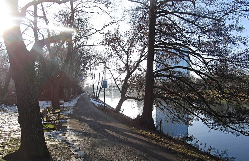 Neu-Ulmer Donauuferweg mit Bäumen und Sträuchern