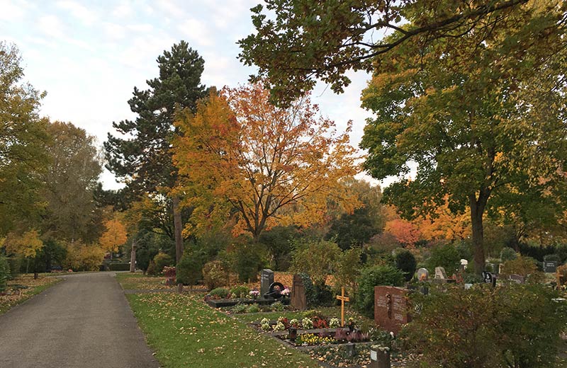 Friedhof