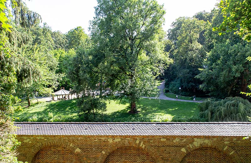 Glacis-Park mit großen schattenspendenden Bäumen