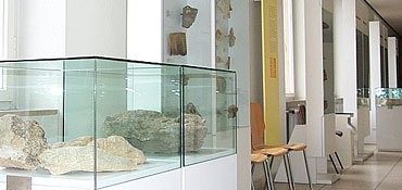 Geologische Sammlung mit Gesteinsproben im Rathaus Neu-Ulm