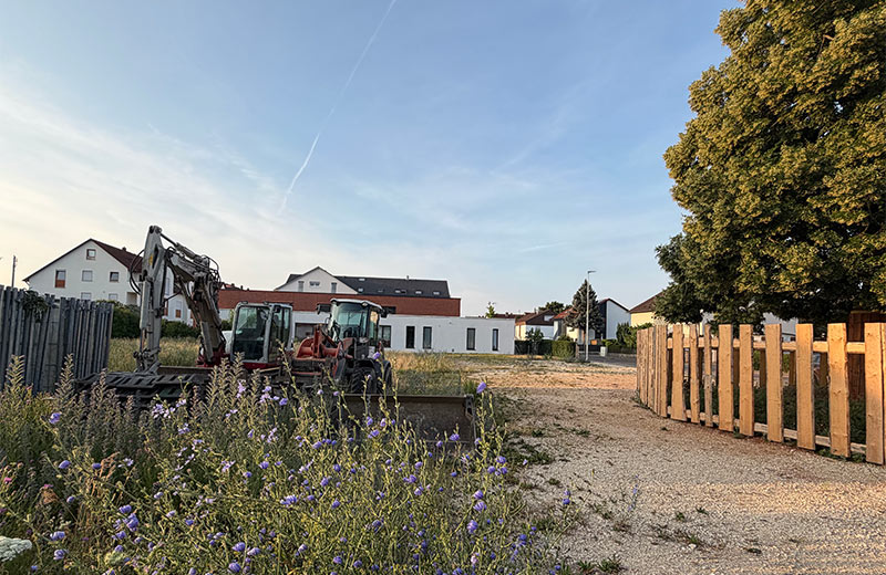 Wiese mit Lindenbaum, daneben zwei Baustellenbagger